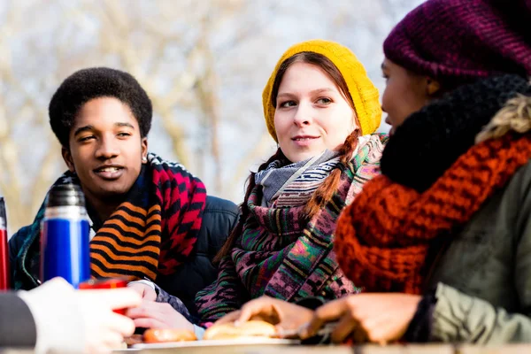 Jóvenes amigos hablando en el picnic al aire libre en el parque — Foto de Stock