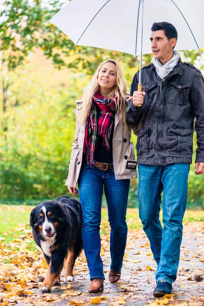 Woman and man having walk with dog in autumn rain — Stock Photo, Image