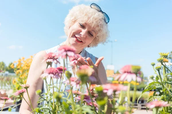 Portret van een serene senior vrouw permanent in de tuin in een su — Stockfoto