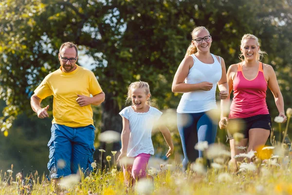 Spor için bir çayır üzerinde çalışan aile — Stok fotoğraf