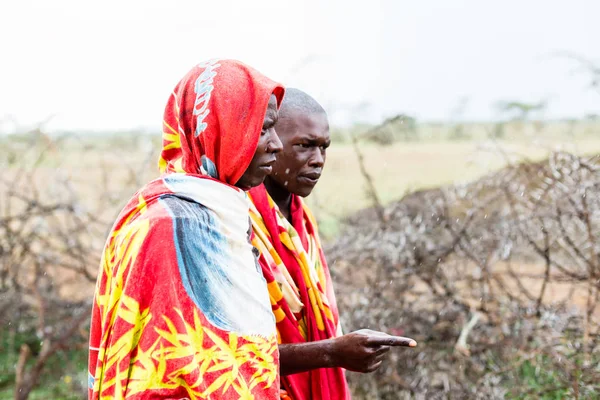 Massai ふたり一緒に歩いて — ストック写真