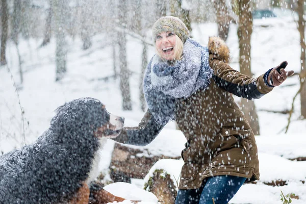 Kobieta spaceru ze swoim psem w zimie i zarówno odkrywać na śniegu, aby — Zdjęcie stockowe