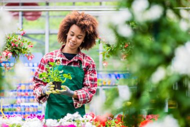 Saksılı bitki çiçekçi çalışmaları sırasında tutan özel kadın