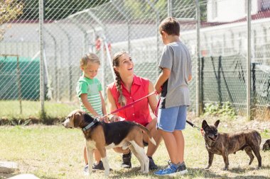 Oğulları bir hayvan barınağı köpekler yürüyüş ile anne