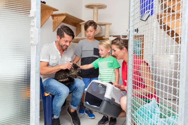 Família adotando gato de abrigo animal — Fotografia de Stock