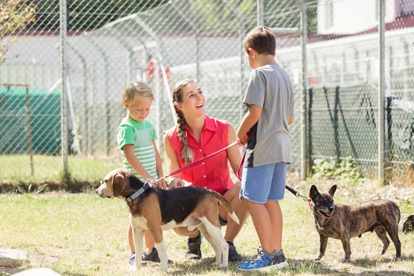 Mamá con sus hijos paseando perros de un refugio de animales —  Fotos de Stock