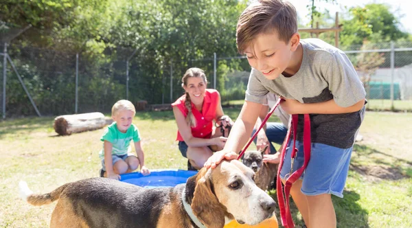Joven chico acariciando perro en animal refugio — Foto de Stock