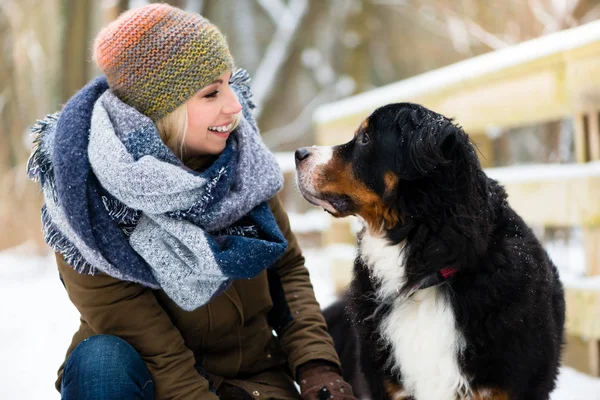 Mulher Brincando Com Cão Neve Dia Inverno — Fotografia de Stock