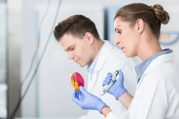 Cientistas Testando Poluição Germinal Alimentos Placas Petri — Fotografia de Stock