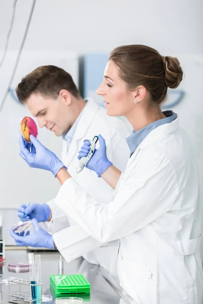 Cientistas Testando Poluição Germinal Alimentos Placas Petri — Fotografia de Stock