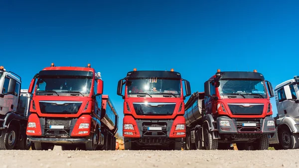 Caminhões nas instalações da empresa de transporte de mercadorias — Fotografia de Stock