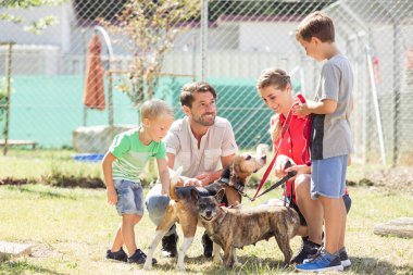 Oğulları bir hayvan barınağı köpekler yürüyüş ile anne