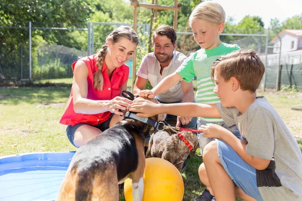 Family taking home a dog from the animal shelter giving new home — Stock Photo, Image