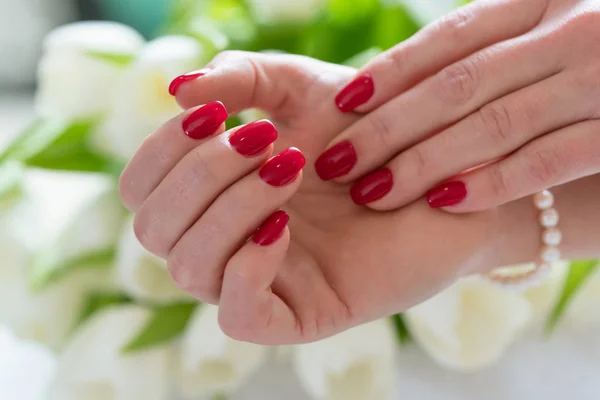 Close-up van de handen van een jonge vrouw met elegante rode manicure — Stockfoto