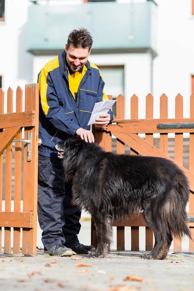 Big black dog welcoming the postman at garden gate