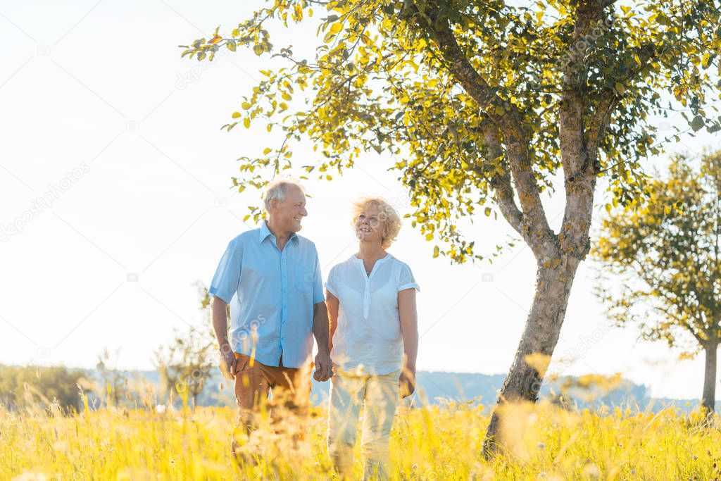 Romantic senior couple holding hands while walking together on field in countryside in summer