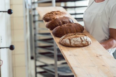 Taze ekmek ekmek fırınları fırın bir kadın baker tarafından tutulan bir yönetim kurulu