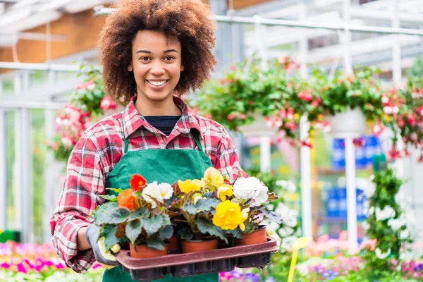 Vista lateral de una floristería dedicada sosteniendo una bandeja con flores decorativas — Foto de Stock