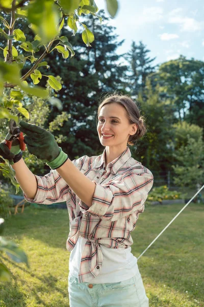 Vrouw in tuin controle fruitboom — Stockfoto