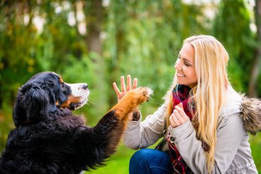 Sonbahar parkta pençe için onun kadın elini sıkarken köpek
