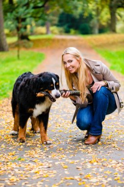 Kadın ve köpek alma, toprak yolda sonbahar parkta oyun sopa