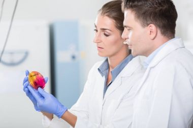 Scientists in laboratory regarding sample in petri dish clipart