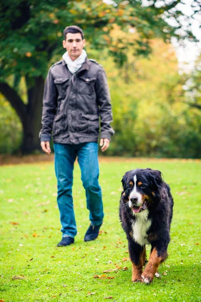 Homem Com Seu Cão Andando Parque Outono — Fotografia de Stock