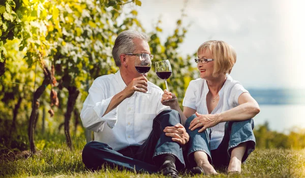 Seniorenpaar Mann Und Frau Genießen Rotwein Freien Frau Und Mann — Stockfoto