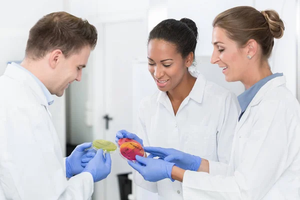 Group Food Laboratory Researchers Comparing Bacteria Cultures — Stock Photo, Image