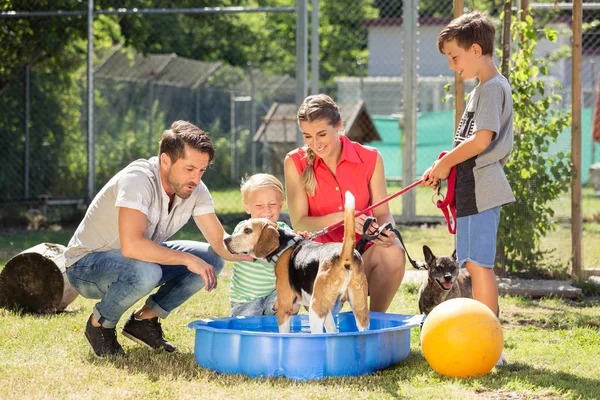 家族が動物保護施設から犬と遊ぶ — ストック写真
