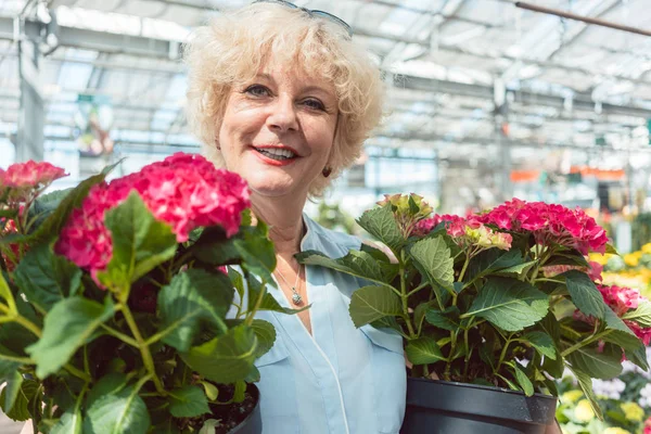 Retrato de una mujer mayor activa sosteniendo dos plantas ornamentales en maceta —  Fotos de Stock