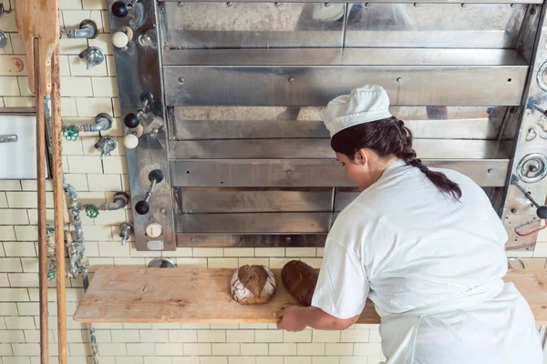 Baker femme obtenir pains pains hors du four de boulangerie — Photo