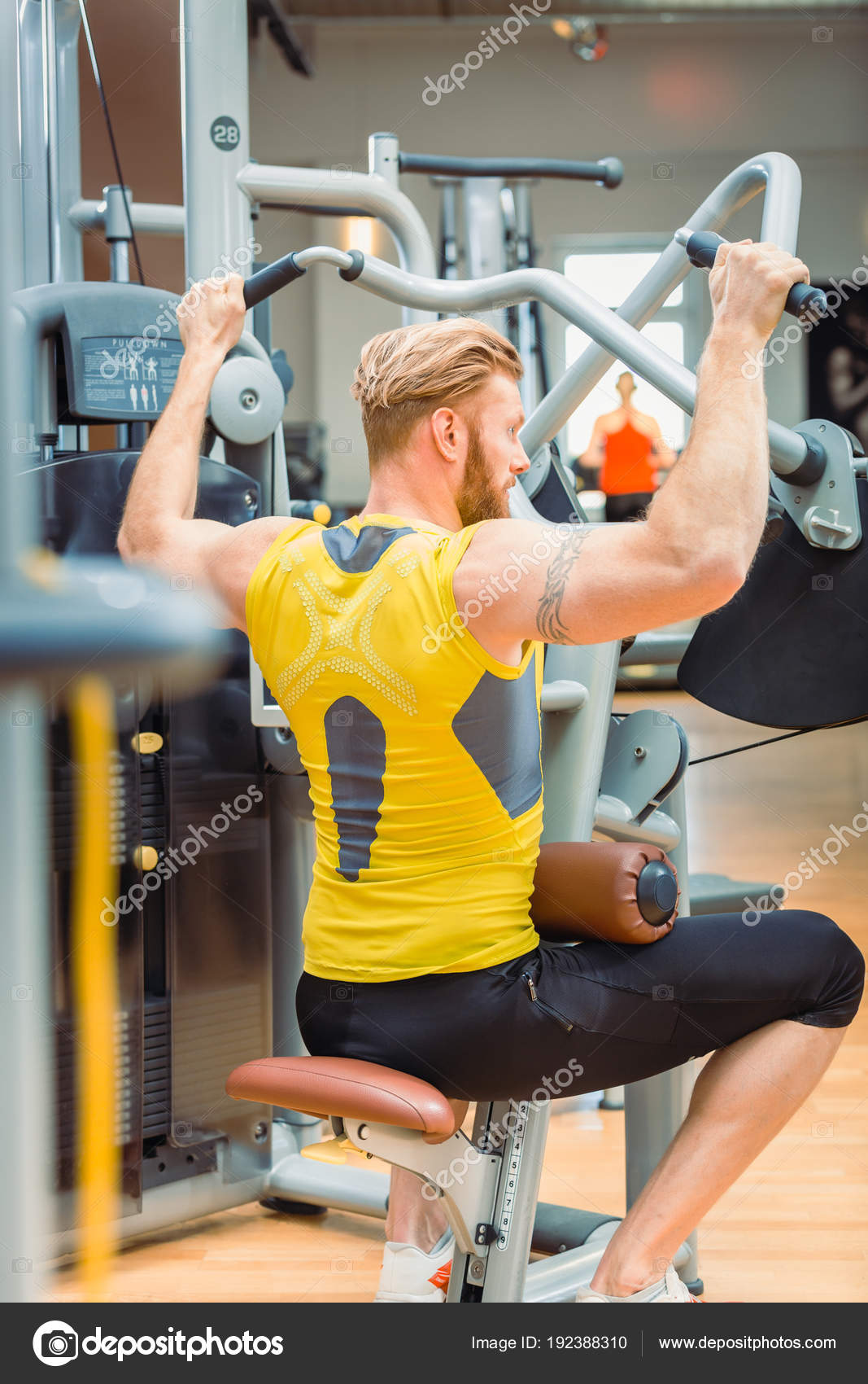 RETTA PALESTRA SCARICARE