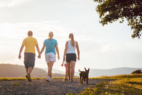 Семья и собака идут домой пешком — стоковое фото