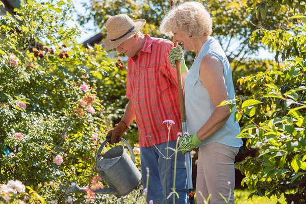 Active happy senior woman standing next to her husband during garden work