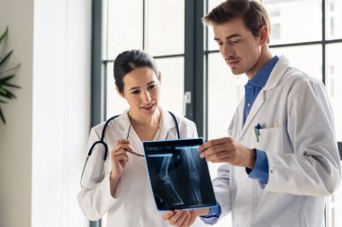 İki genç özel doktor birlikte bir hasta grafisi analiz