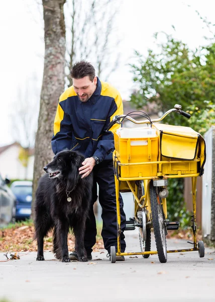 Stor Svart Hund Välkomnande Brevbäraren Grinden Hus — Stockfoto