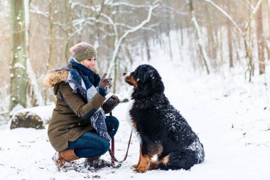 Kadın yürüyen Bernese dağ köpeği bir kış gününde