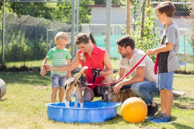 Aile köpek--dan hayvan sığınak ile oynarken