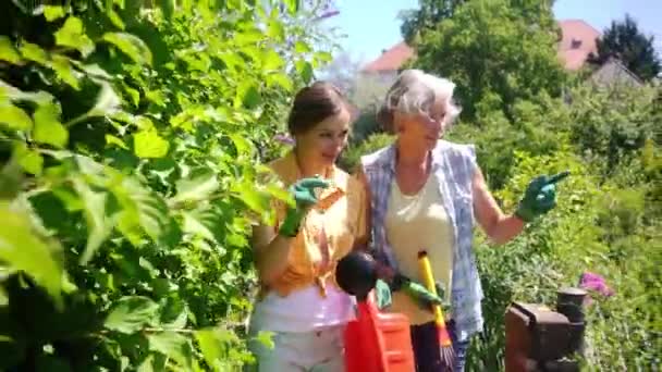 Senior och ung kvinna trädgårdsskötsel tillsammans — Stockvideo