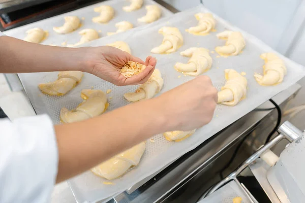 Atissier in haar bakkerij zet croissant deeg stukken op een dienblad — Stockfoto