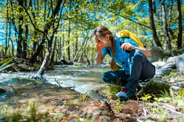 Mulher refrescando-se com água doce de riacho enquanto caminhadas — Fotografia de Stock