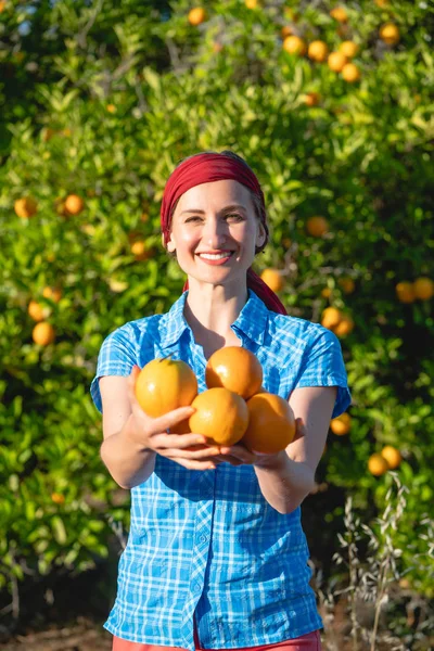 Campesina cosechando naranjas en su huerto — Foto de Stock