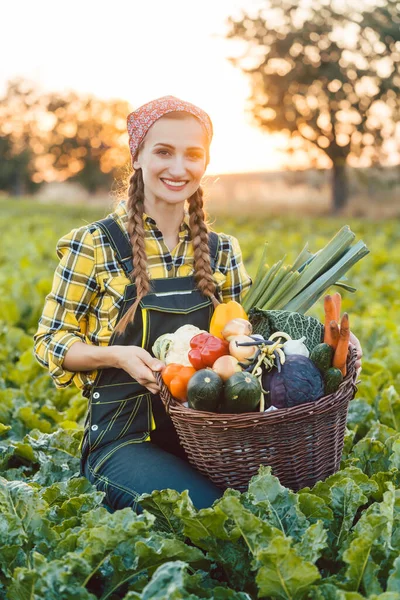 Mujer agricultora ofreciendo cesta de verduras orgánicas saludables — Foto de Stock