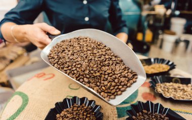 Roasteride farklı kahve çekirdekleri var.