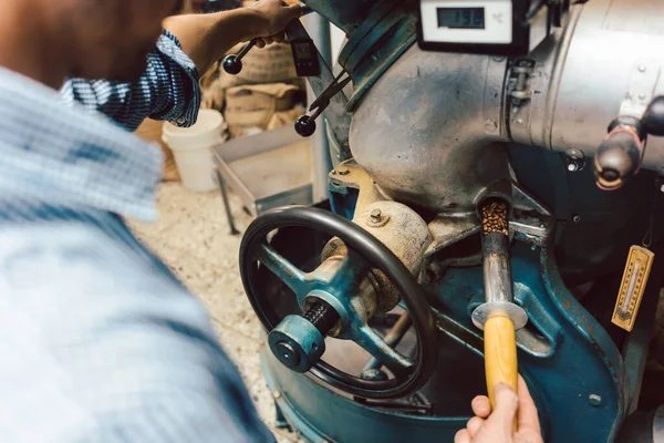 Tostador de café haciendo la prueba de color en una muestra de frijoles — Foto de Stock