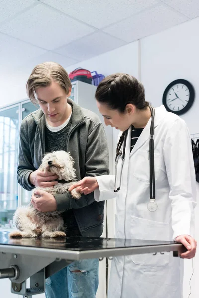 Médicos masculinos e femininos examinando cachorrinho pequeno — Fotografia de Stock