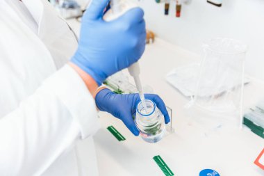 Doktor deney için sıvıyı çıkarıyor.