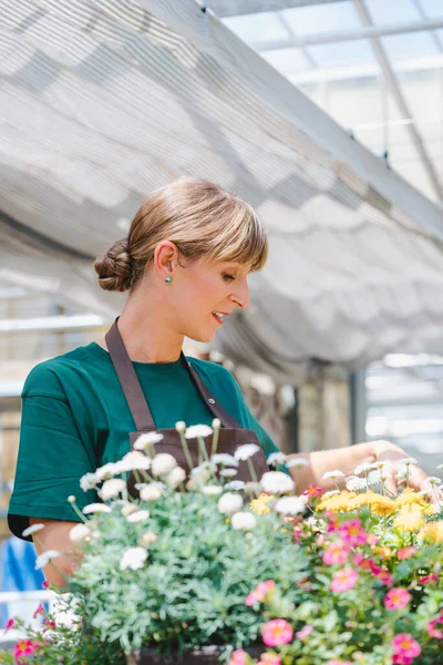 Mujer jardinero comercial cuidando de sus flores en maceta —  Fotos de Stock