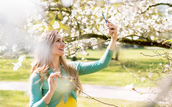 Молодая женщина делает селфи с телефоном в парке у цветка дерева — стоковое фото